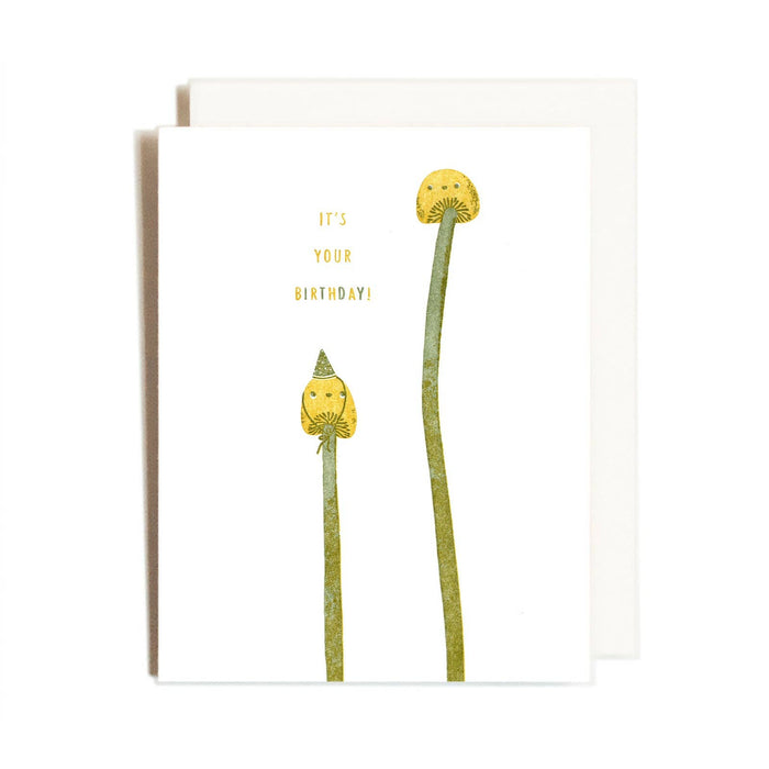 Birthday Mushrooms Card