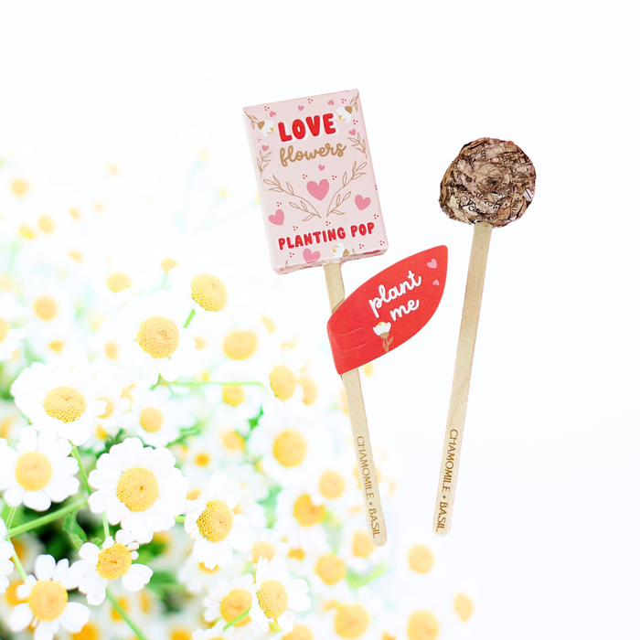 Love Flowers Garden + Gift Seed Planting Pop