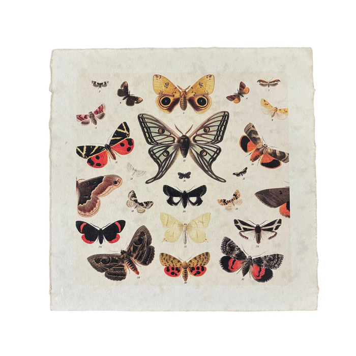 Dancing Butterflies Art Print