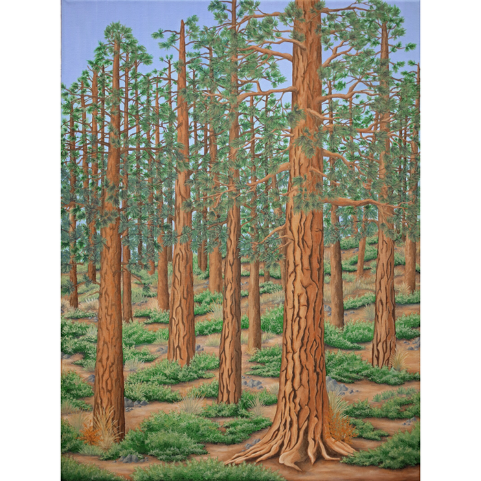 Trees Art Print by local artist Laura Watkins