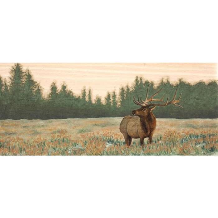 Elk on Wood Art Print by local artist Laura Watkins