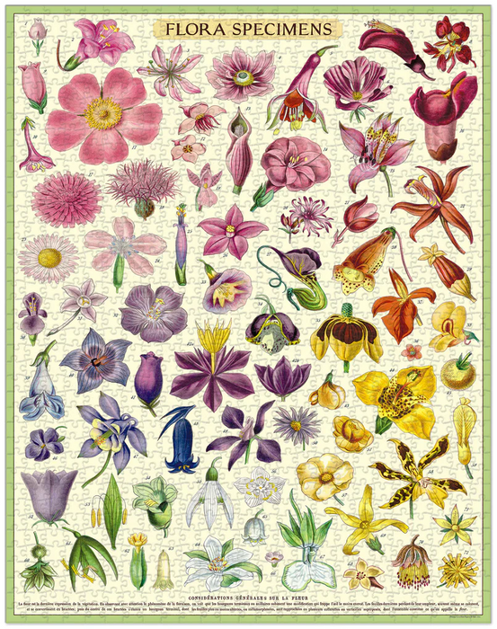 Flora Specimens 1000 Piece Puzzle