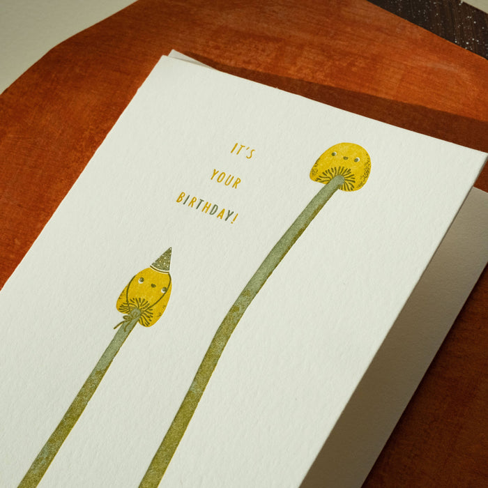 Birthday Mushrooms Card