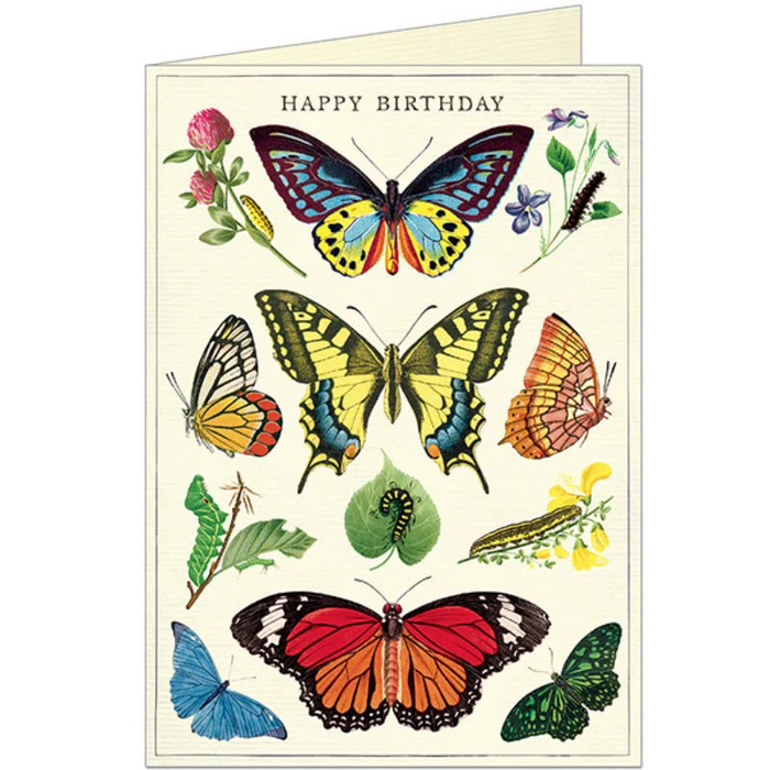 Happy Birthday Butterflies Card