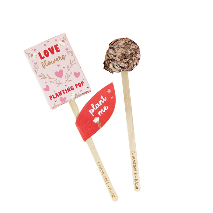 Love Flowers Garden + Gift Seed Planting Pop