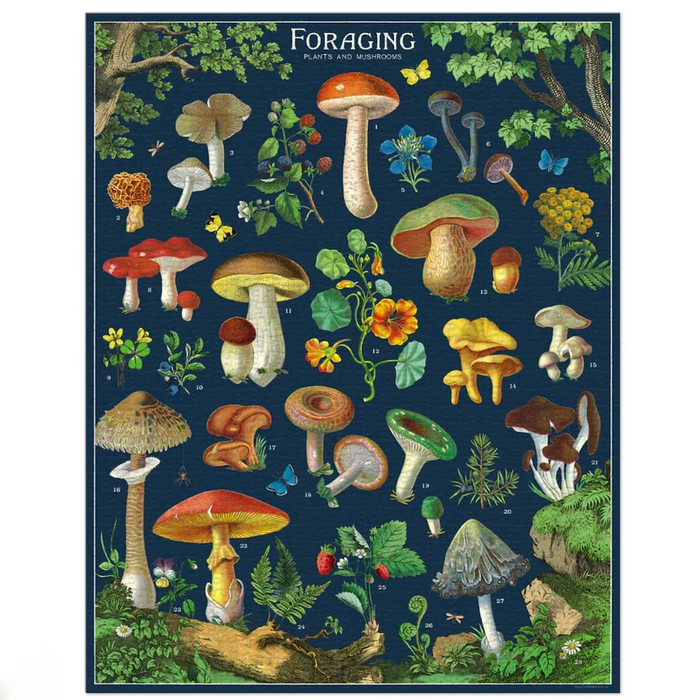 Foraging Plants and Mushrooms Puzzle