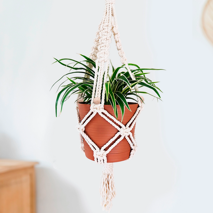 DIY Macramé Kit